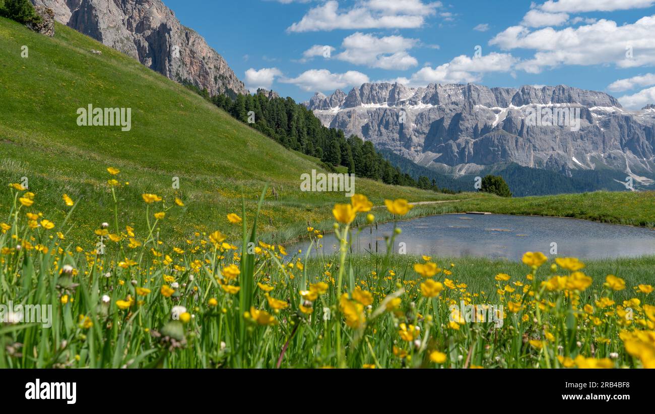 Piante colorate e un piccolo lago sulle montagne del Geislerspitzen (gruppo delle Odle) nelle Dolomiti, guardando il monte Sella ra Foto Stock