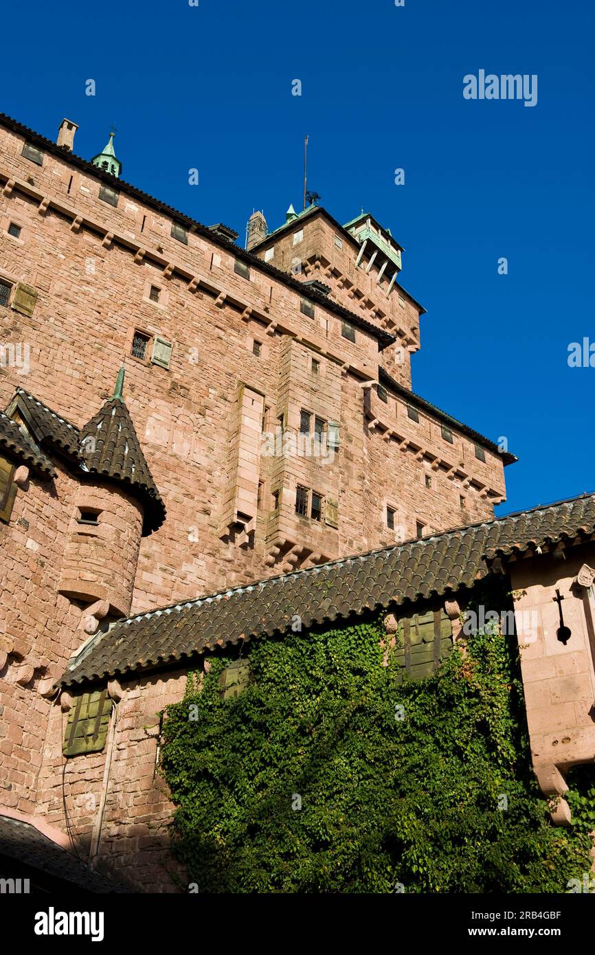 Castello di Haut-koenigsbourg, orschwiller, alsazia, francia Foto Stock