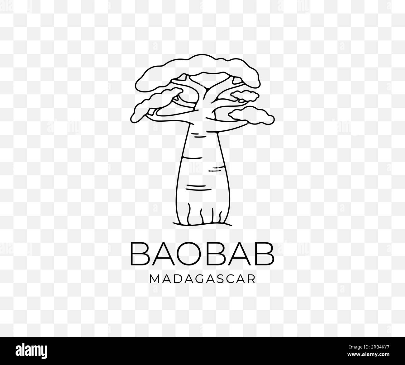 Baobab africano del Madagascar, parco nazionale e savana, natura, alberi e piante, grafica lineare. Foresta, savana, flora, paesaggio Illustrazione Vettoriale