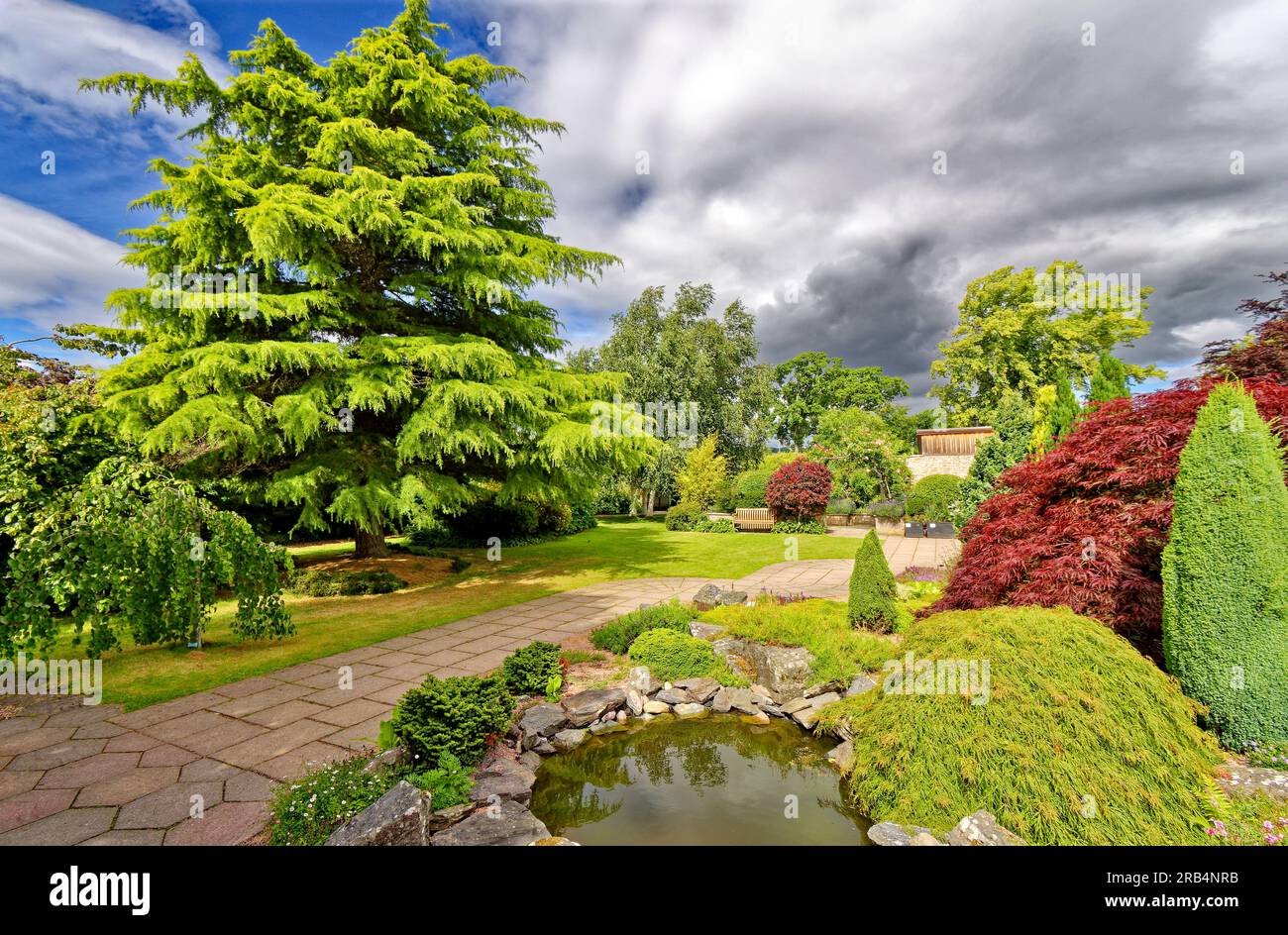 Inverness Botanic Gardens, arbusti di abeti scozzesi e un piccolo laghetto in estate Foto Stock