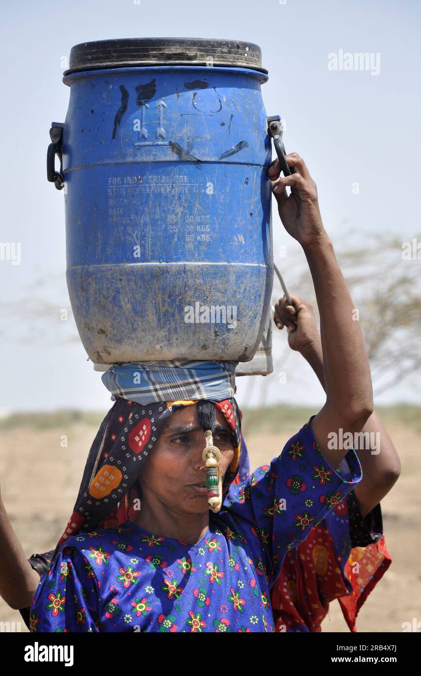 Gujarat. Rann di Kutch. Tribù Mengal. donna Foto Stock