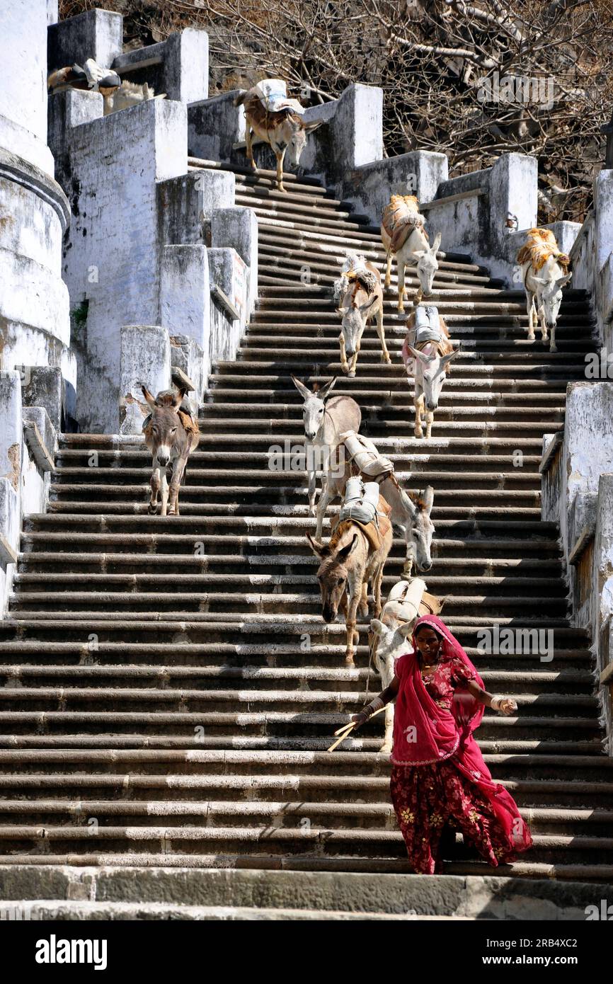 Gujarat. Palitana. Tempio Jain. vita quotidiana Foto Stock