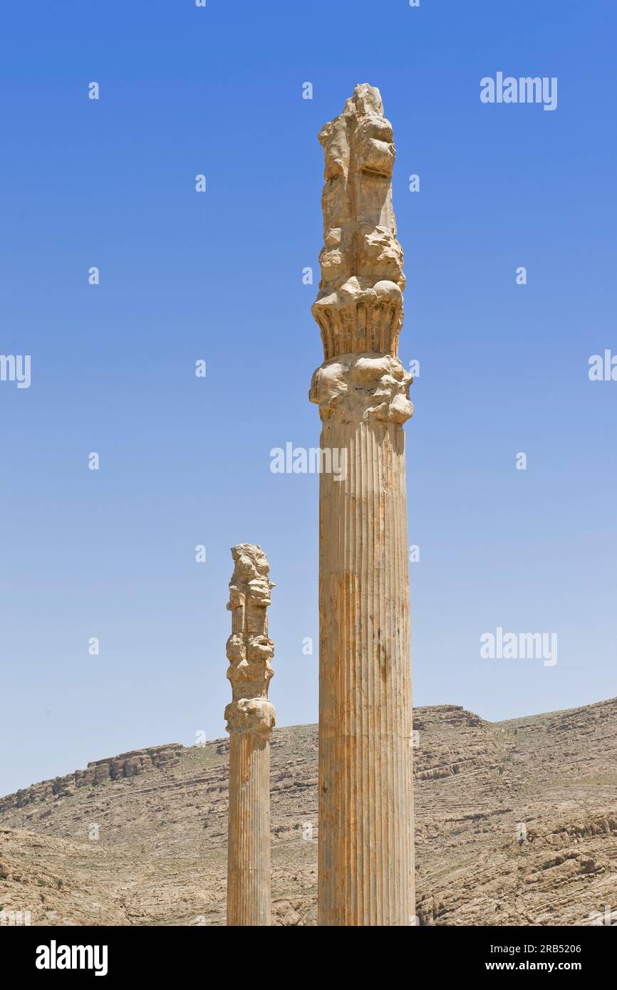 Iran. Sito archeologico di Persepolis Foto Stock