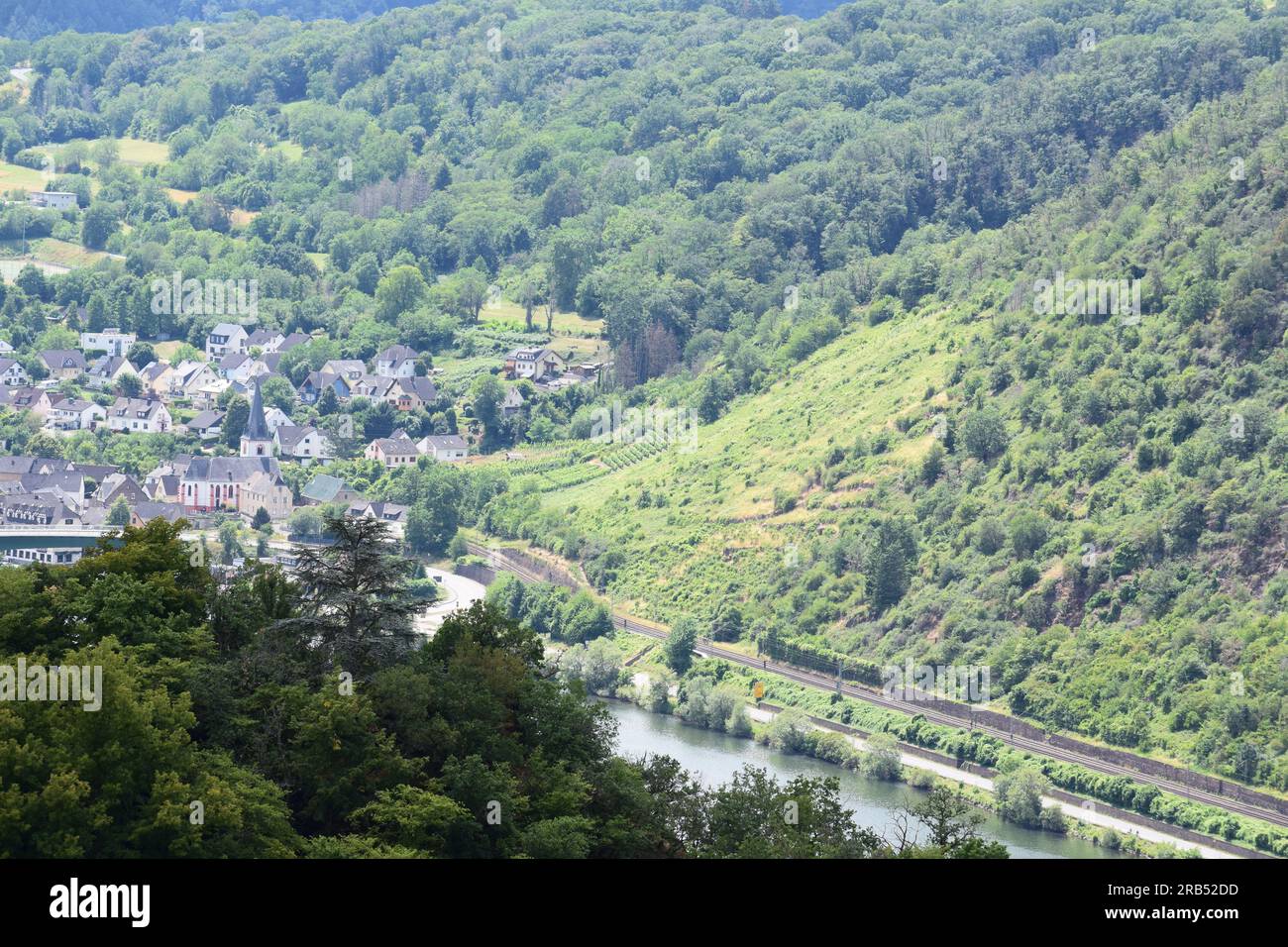 Vista sulla Mosel Valley da una collina sopra Alken e Oberfell Foto Stock