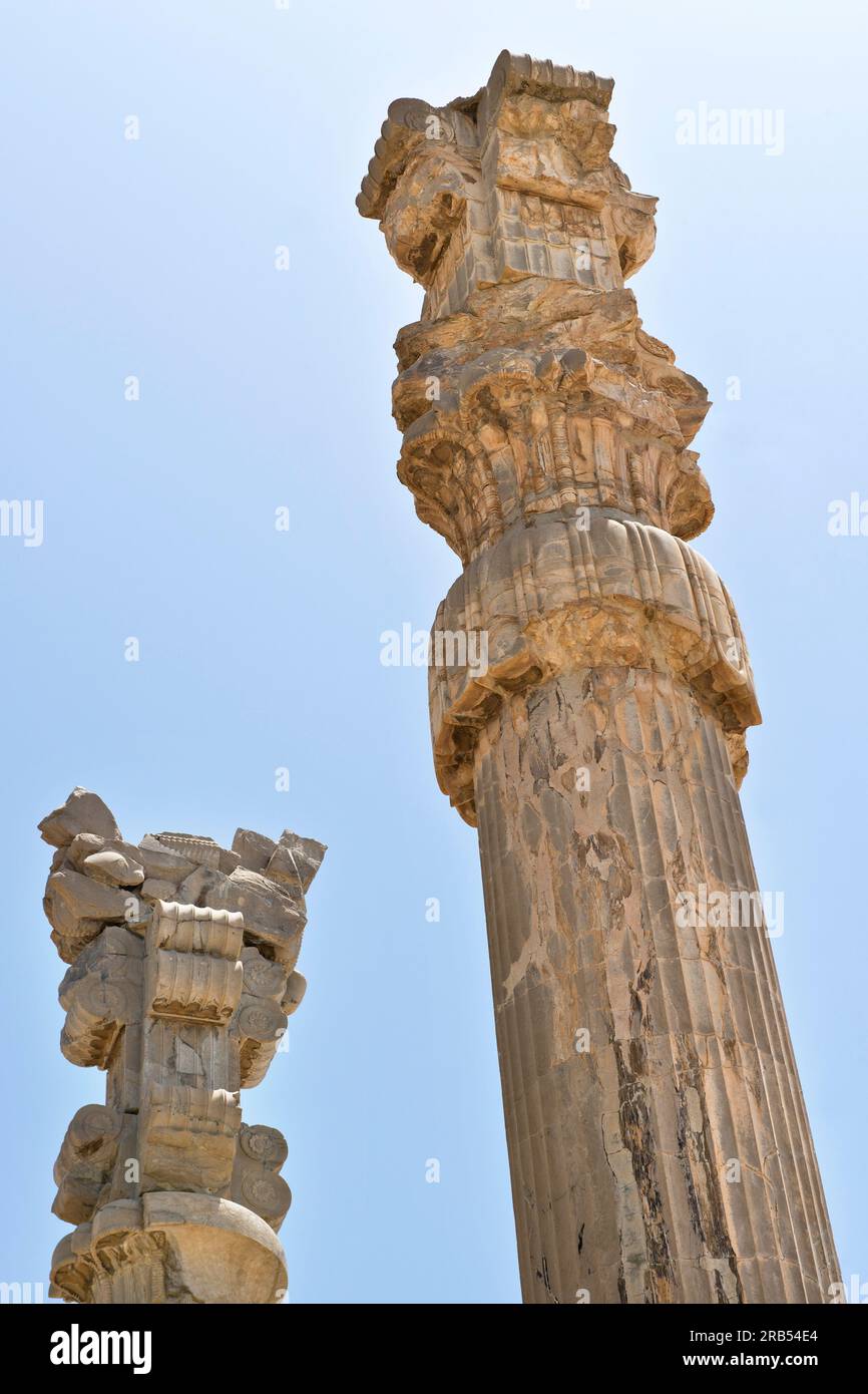 Asia. Iran. Persepolis. Sito archeologico Foto Stock