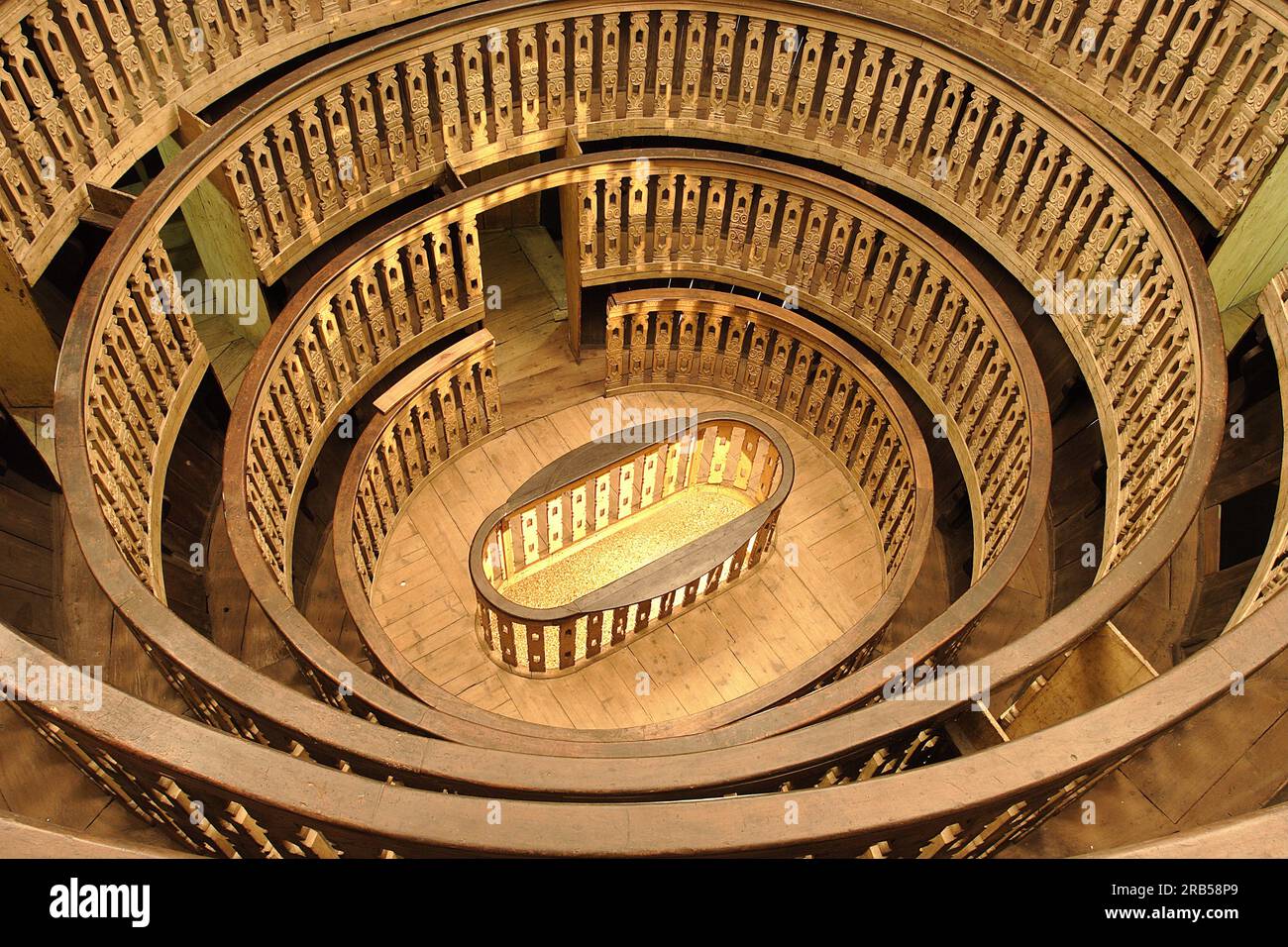Teatro anatomico, Galileo Galilei, Palazzo Bo, l'università, Padova, Veneto, Italia, Foto Stock