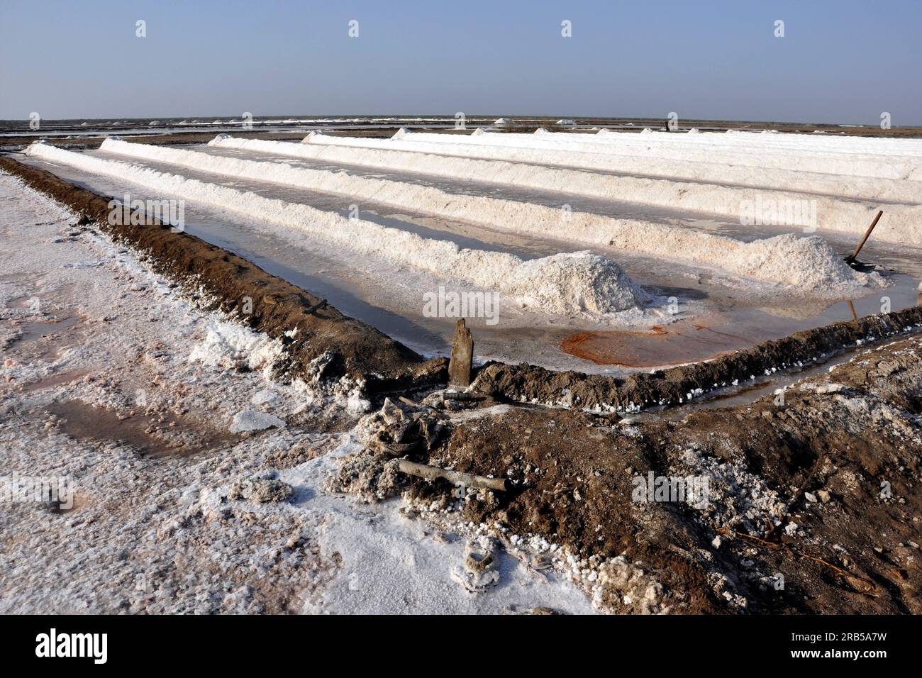 Gujarat. Rann di Kutch. soluzione salina Foto Stock