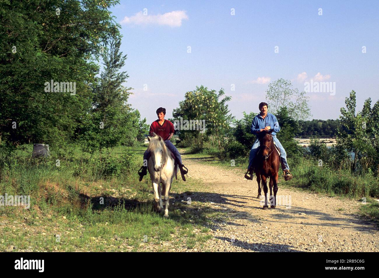 Trekking a cavallo. Parco del Ticino. Lombardia. Italia Foto Stock