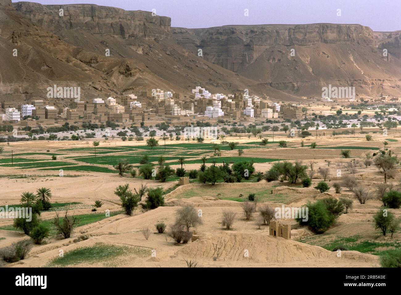 Hadramawt. Yemen. Penisola Araba Foto Stock