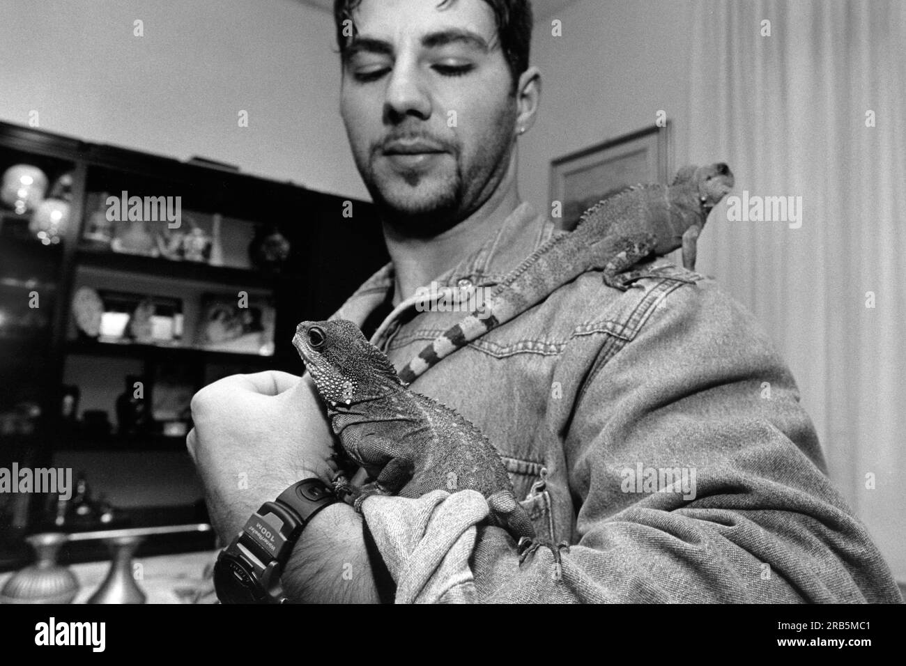 Uomo con Iguana Foto Stock