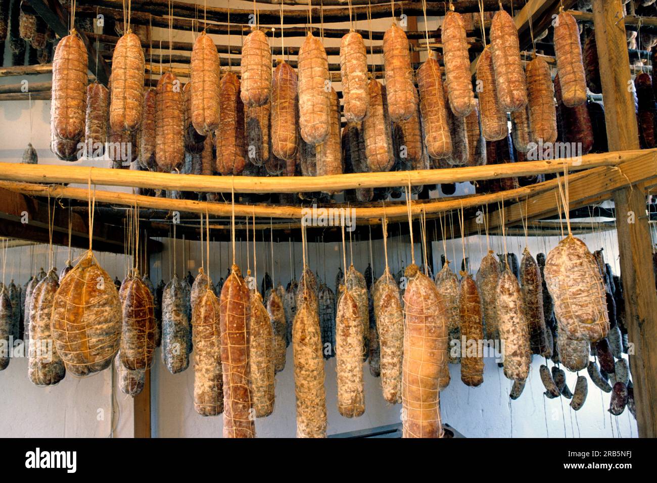 La maturazione del Salami. Parco del Ticino. Lombardia. Italia Foto Stock