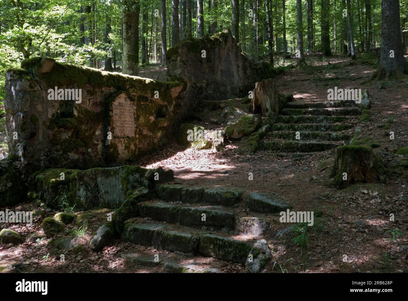 Resti della prima guerra mondiale: Un vecchio cimitero tedesco dimenticato in una foresta nei Vosgi francesi, pietre ricoperte di muschio Foto Stock