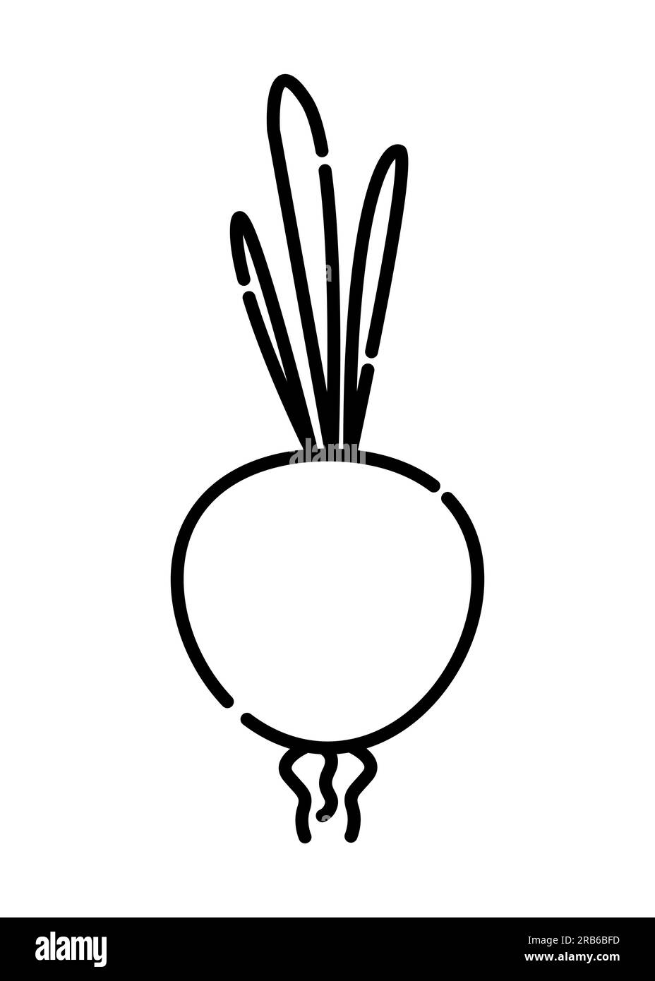 Icona della linea vettoriale in bianco e nero Onion Illustrazione Vettoriale