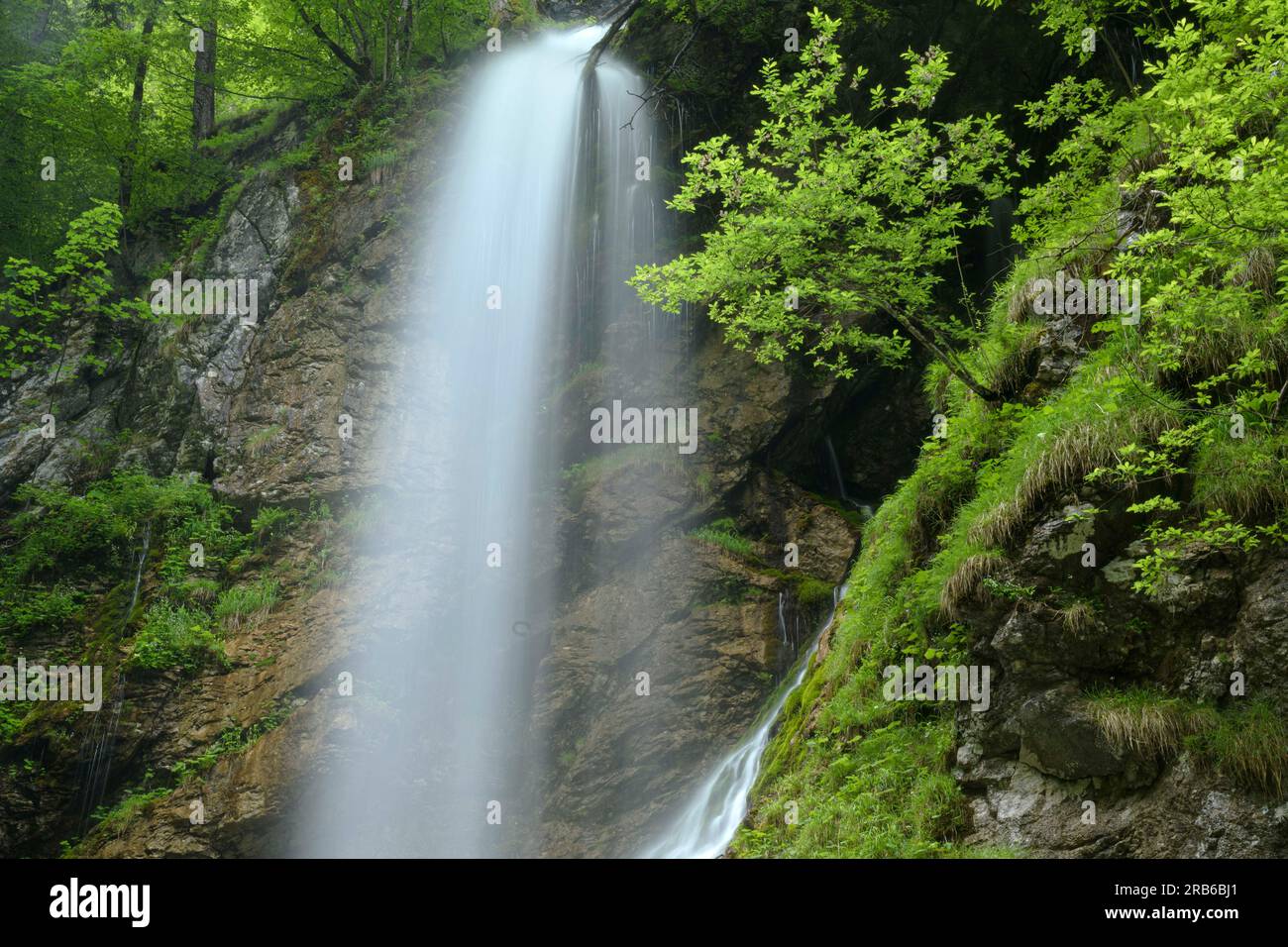 Gesäuse Nationalpark / Austria - cascata nella foresta di montagna selvaggia della gola di Hartelsgraben. Foto Stock