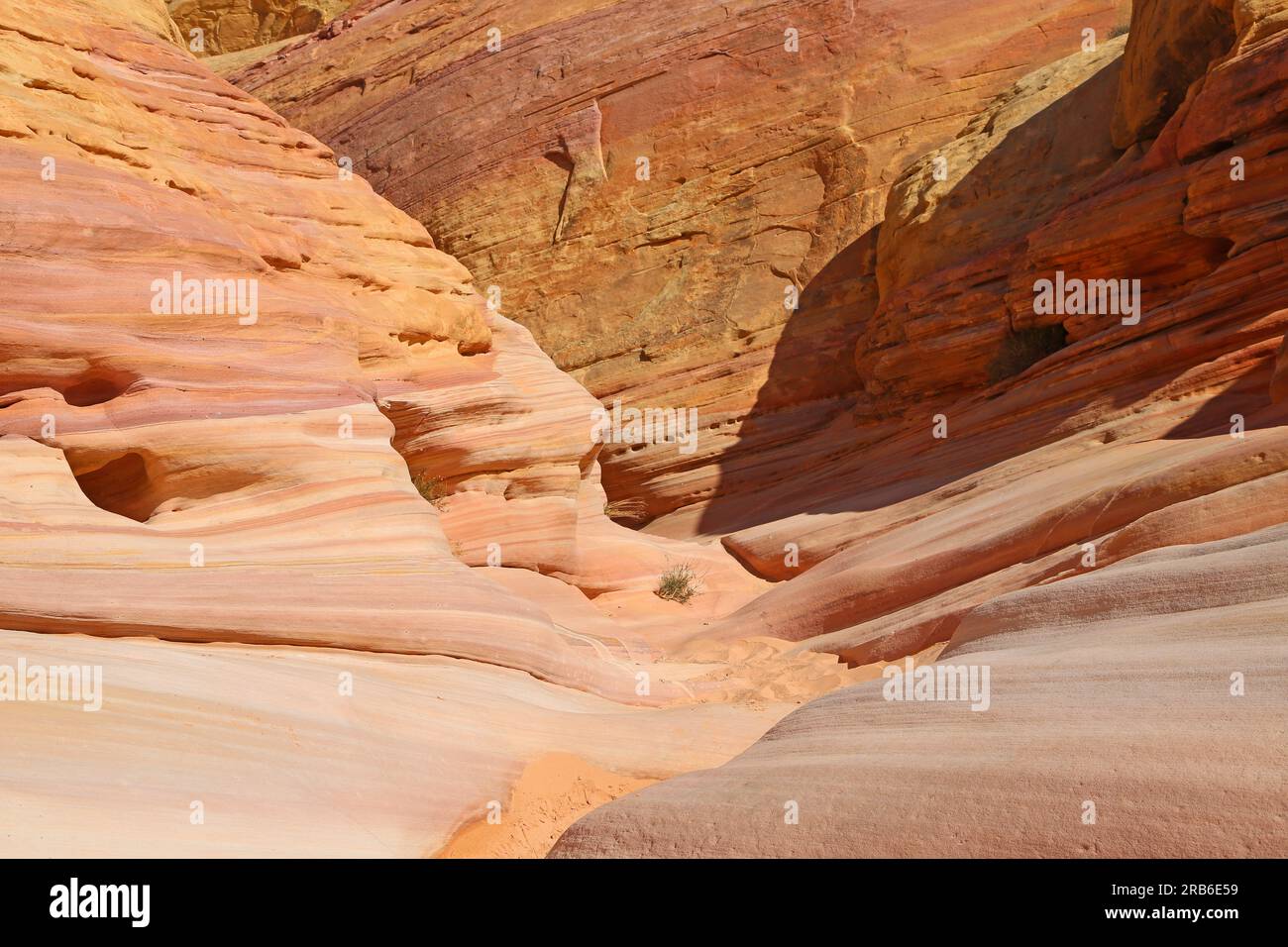 Ingresso al Pastel Canyon - Valley of Fire State Park, Nevada Foto Stock