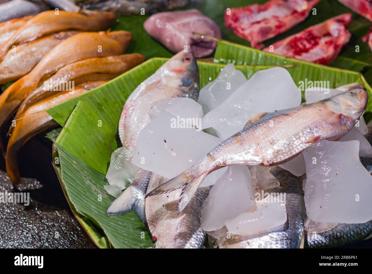 Pesce Hilsa o ilish venduto nel mercato del pesce su una foglia di banana. Questo pesce di specie di aringhe è molto popolare pesce commestibile dell'India e del Bangladesh durin Foto Stock