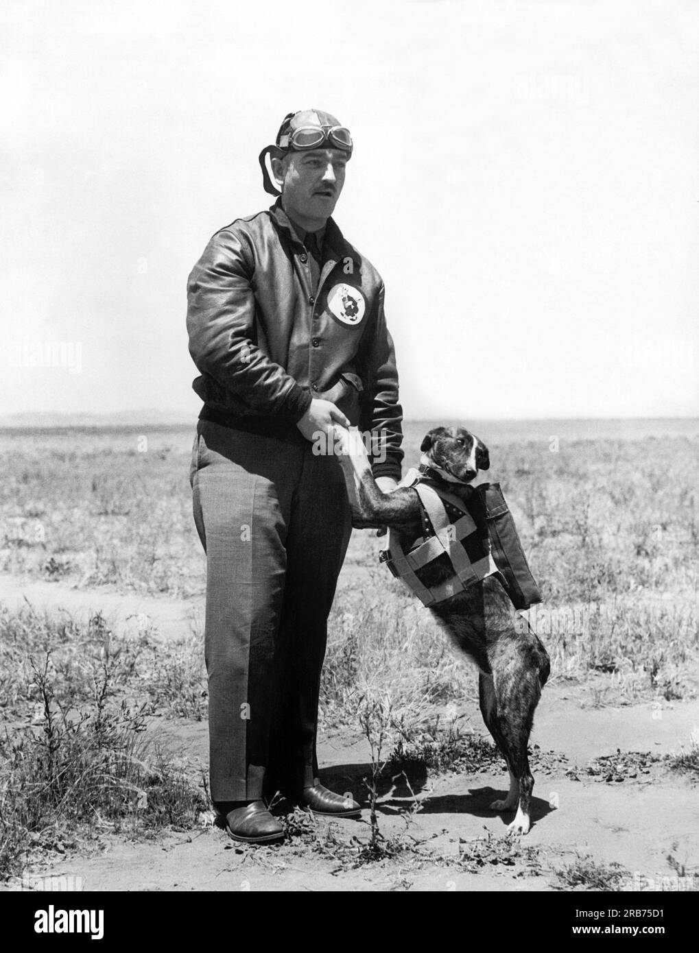San Diego, California: c. 1930 Capitano E. C. Black, comandante dell'11th Bombardment Squadron, con 'Jock', lo Scotch terrier che lo accompagnerà nel volo transcontinentale di 21 bombardieri dell'esercito, navi da inseguimento e aerei da trasporto, sotto il comando del maggiore Carl Andrew Spatz. Nota il paracadute speciale per il cane. Foto Stock