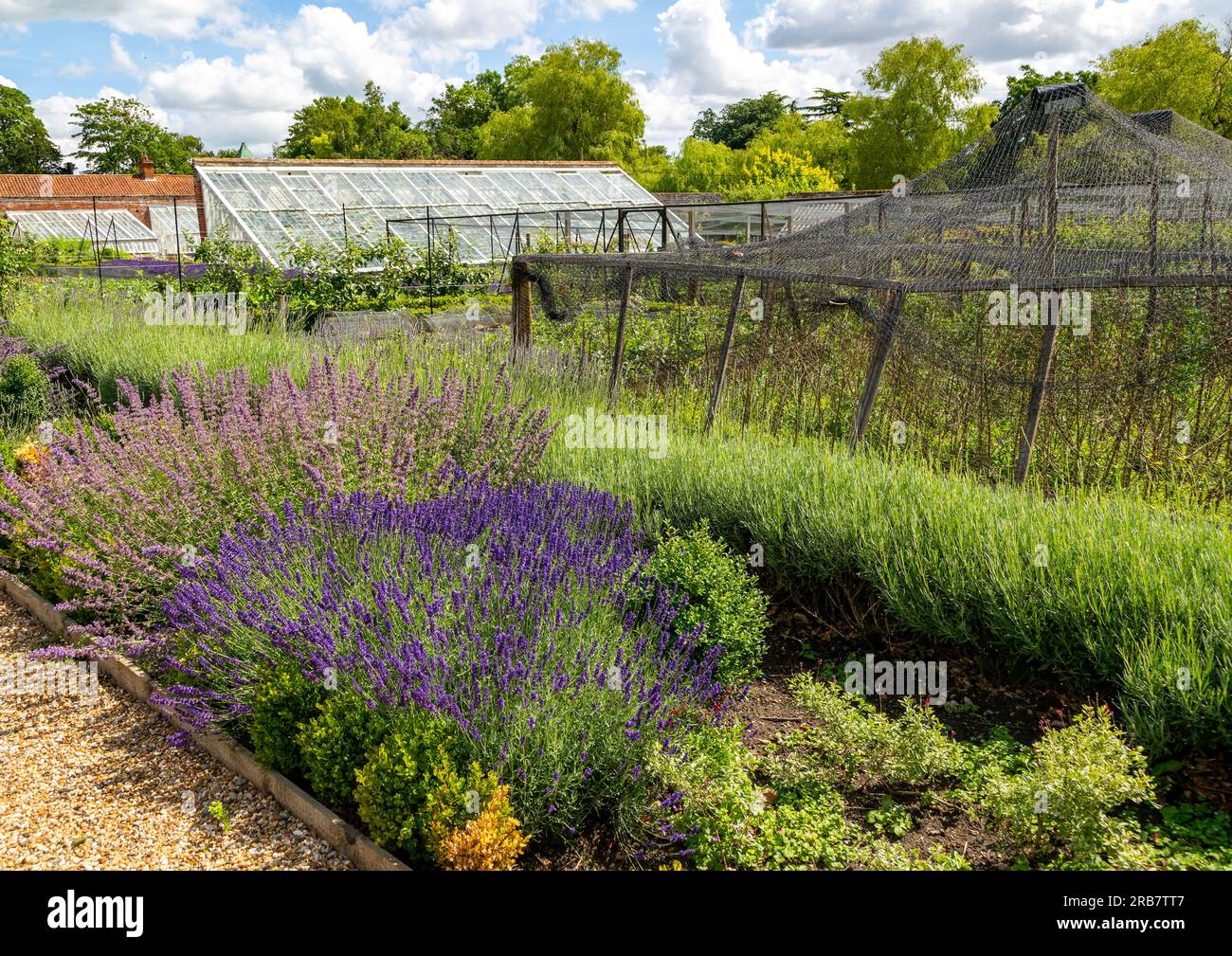 Orto murato Redisham Hall giardini e vivaio di piante, Redisham, Suffolk, Inghilterra, Regno Unito Foto Stock