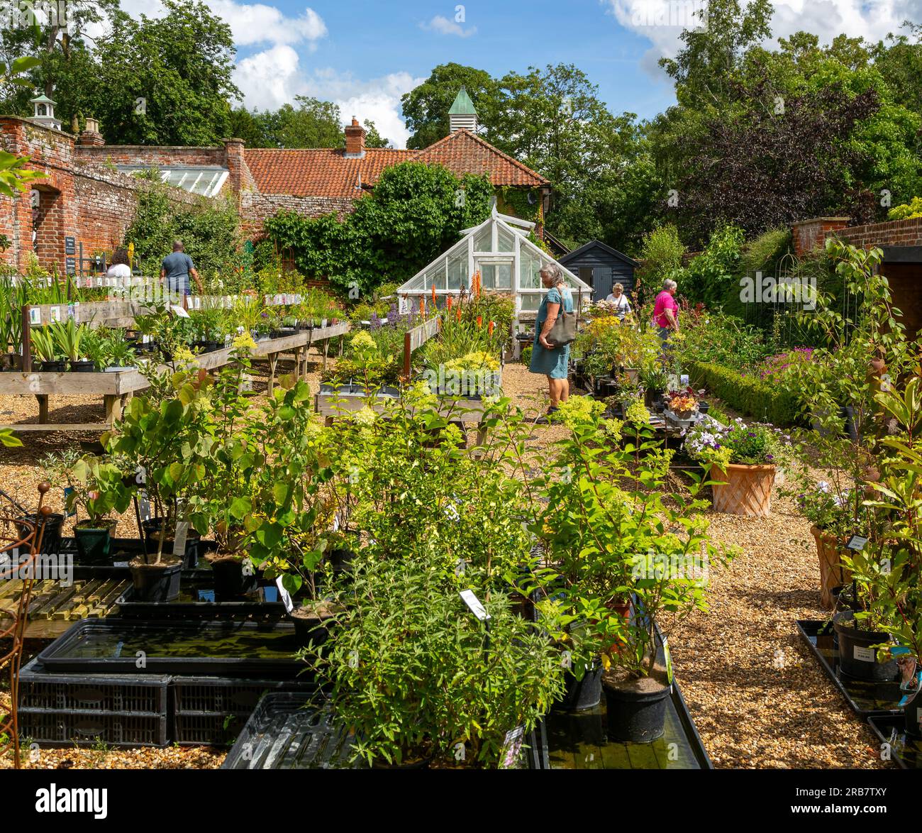 Redisham Hall Gardens and Plant Nursery, Redisham, Suffolk, Inghilterra, Regno Unito Foto Stock