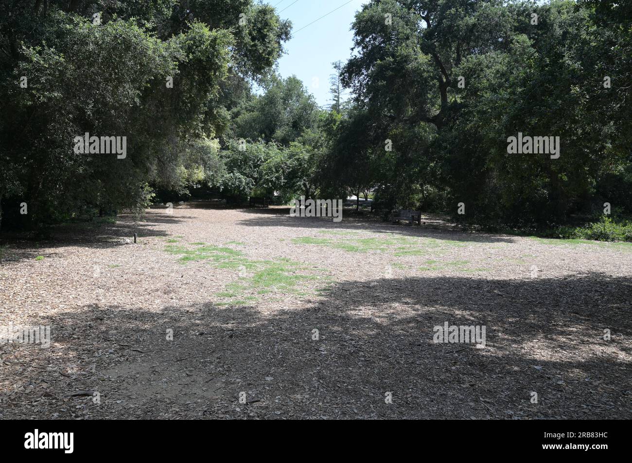 Sentiero nel bosco presso un giardino botanico di Los Angeles. Foto Stock