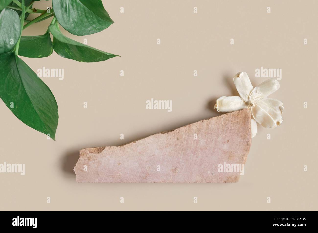 Podio in pietra su sfondo beige per cosmetici o il tuo logo. Piedistallo in pietra naturale con fiore secco. I prodotti sono esposti con texture dolomitica. Trendy te Foto Stock