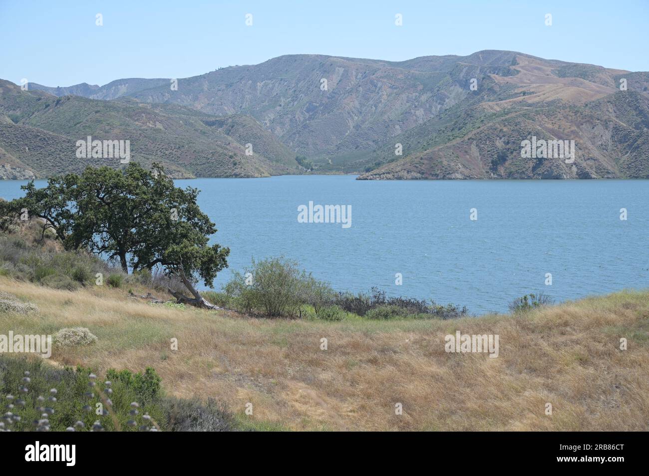 Il lago Piru è situato nella Los Padres National Forest e nelle Topatopa Mountains della contea di Ventura, California. Foto Stock