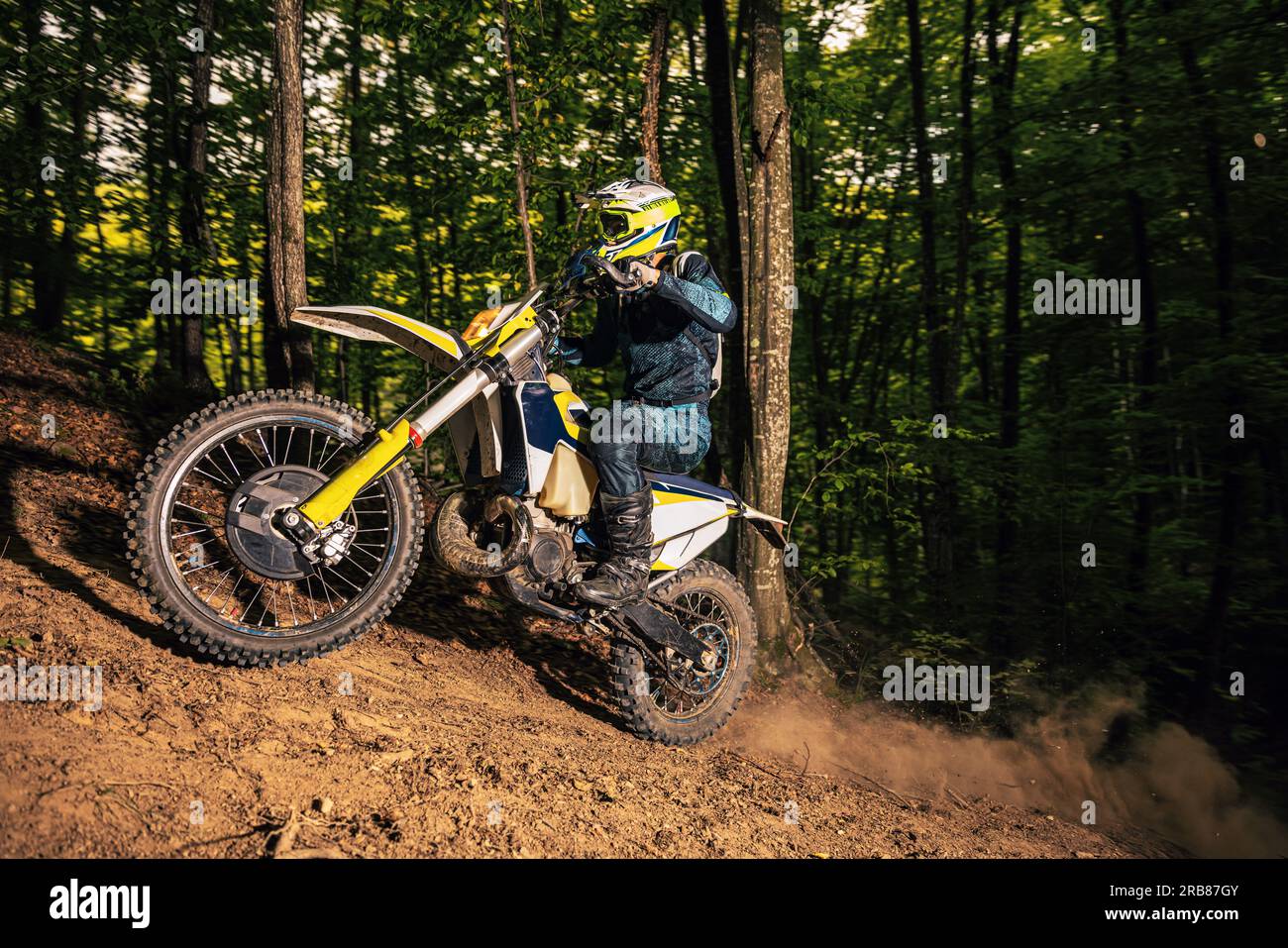 Motociclista su una moto sportiva attraversa un'area boschiva difficile Foto Stock