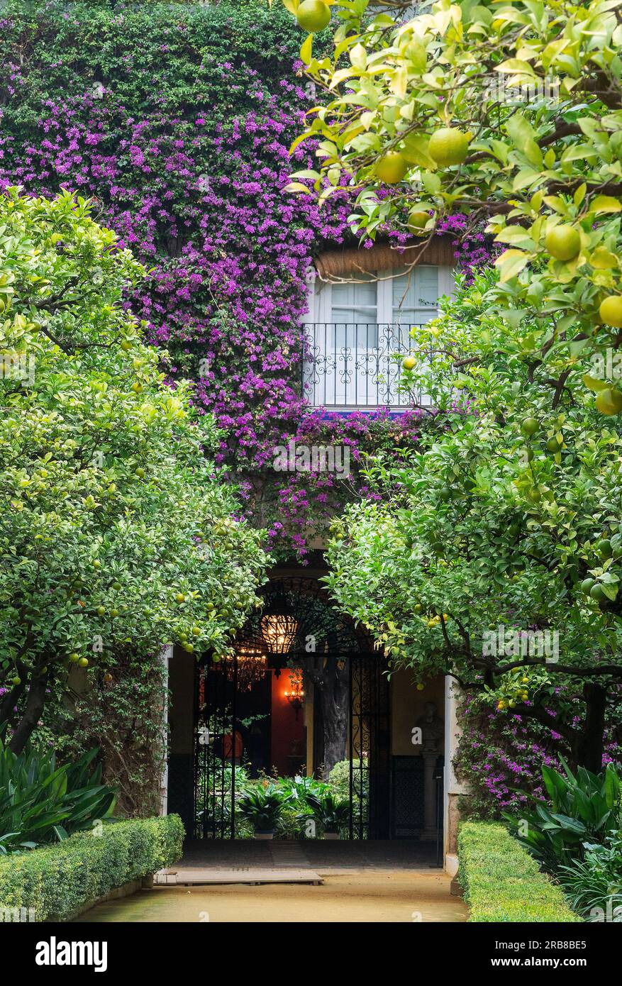 Il giardino frontale del Palacio de las Duenas, residenza privata della famiglia Alba. Foto Stock