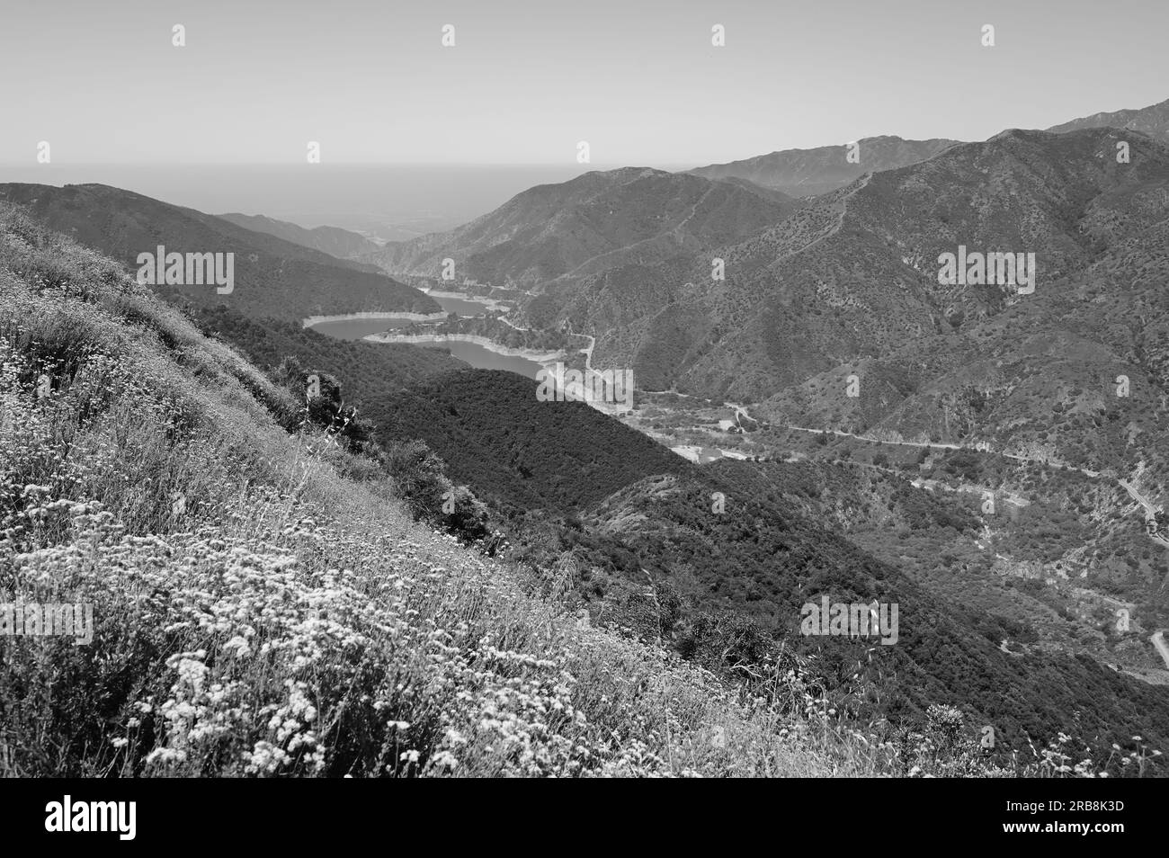 San Gabriel Reservoir No. 1 nelle San Gabriel Mountains disidratato nel 2004 per consentire la rimozione dei sedimenti. Foto Stock