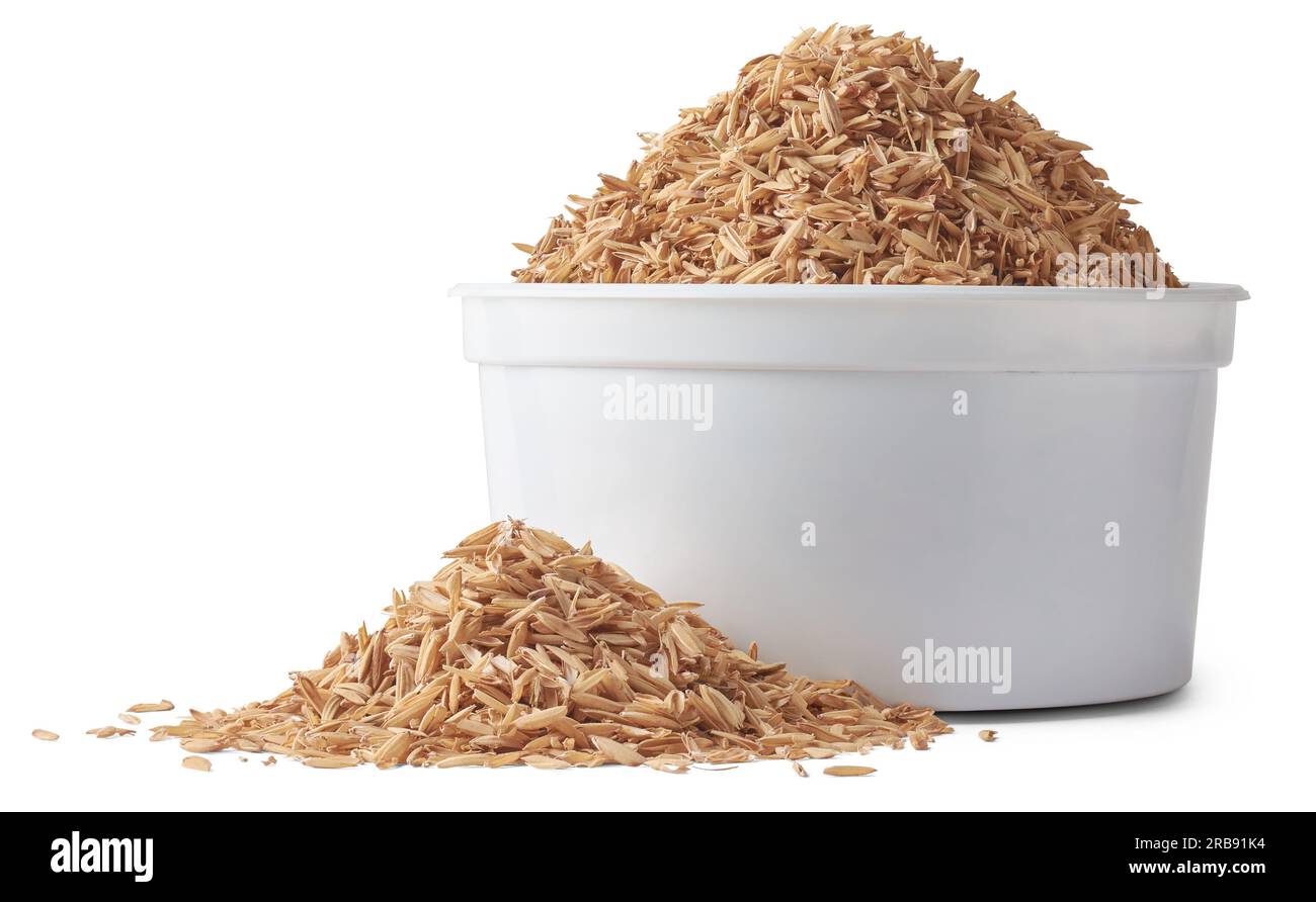 tazza di buccia di risone o di riso, detta pula di riso gialla, buccia di riso o scafo di riso, strato esterno del chicco di riso da utilizzare come mangime per animali, sparsa Foto Stock