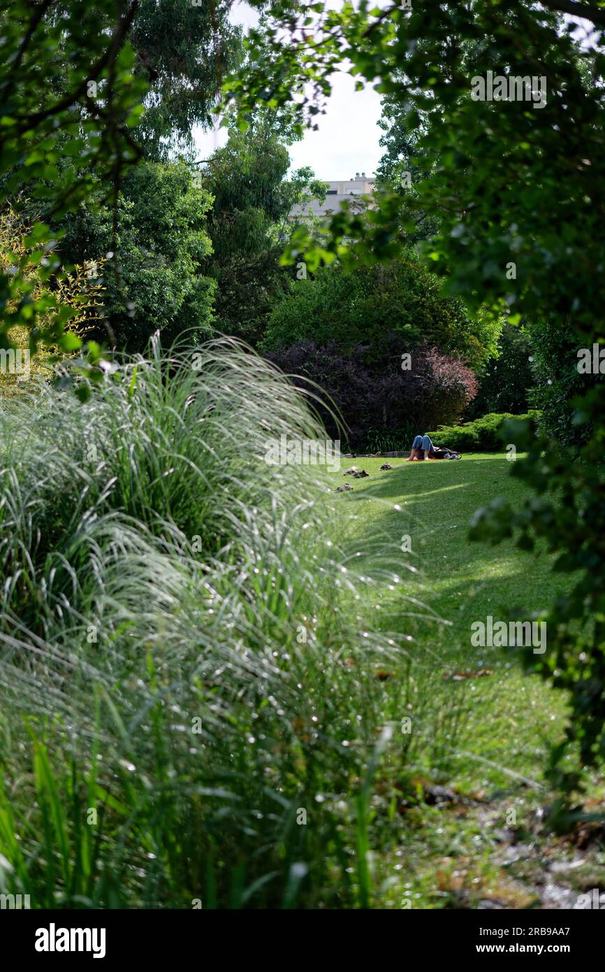 Giardini Calouste Gulbenkian, Lisbona, Portogallo Foto Stock