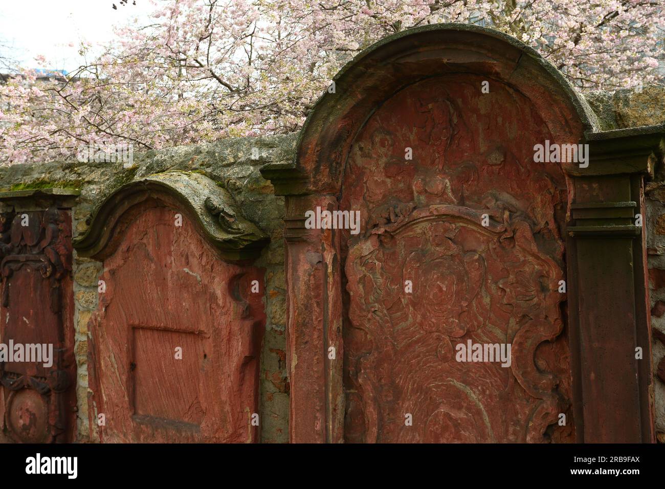 Petersfriedhof Francoforte sul meno, Germania Foto Stock