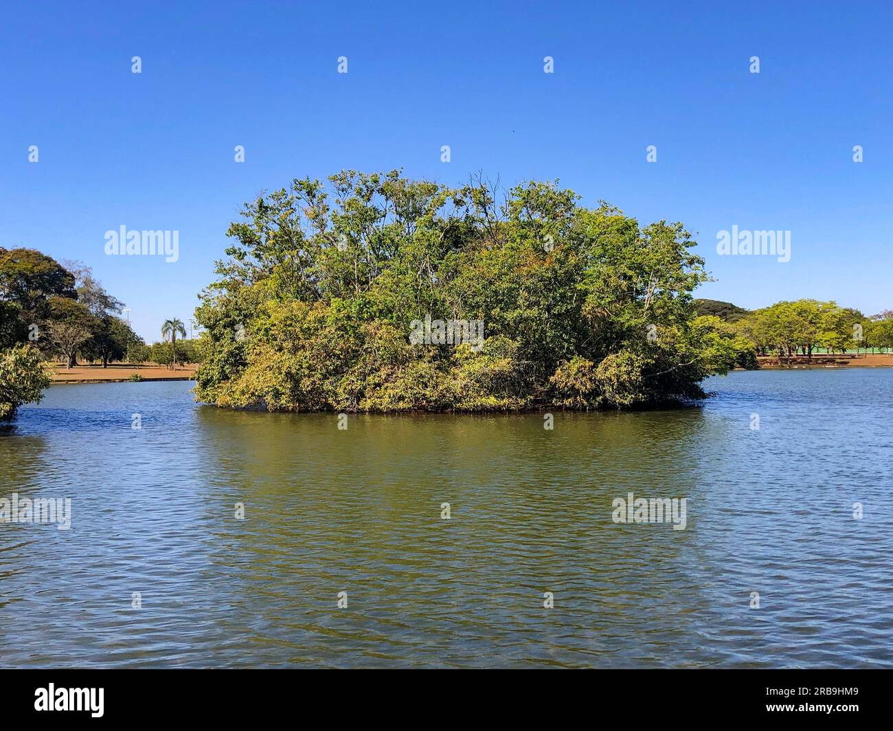 Piccola isola tropicale nel mezzo del lago d'acqua dolce Foto Stock