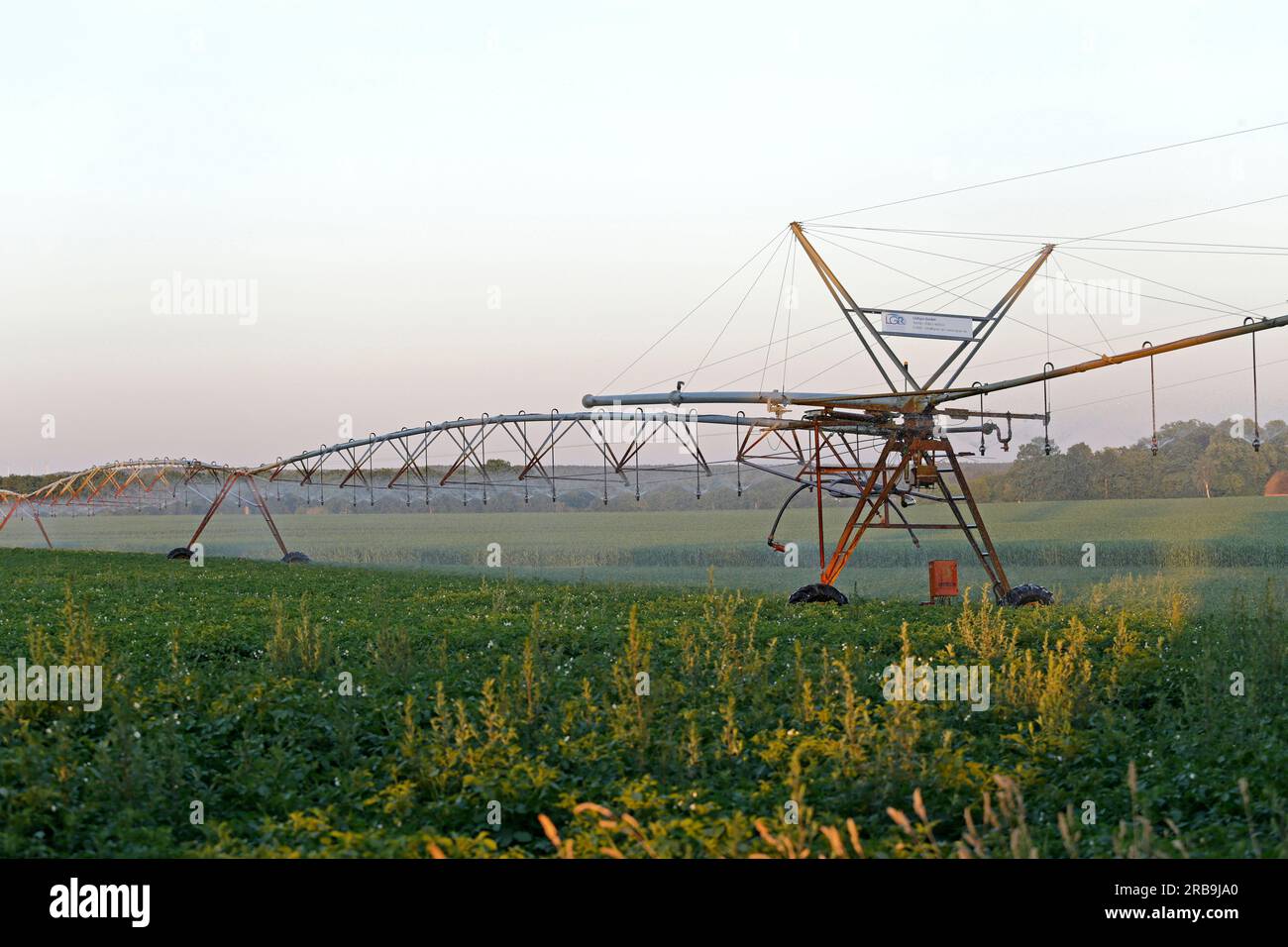 Impianto di irrigazione, giacimento di patate, Melbeck, Ilmenau, bassa Sassonia, Germania Foto Stock