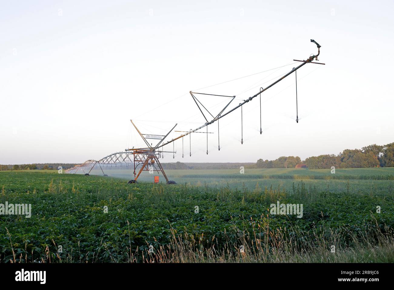 Impianto di irrigazione, giacimento di patate, Melbeck, Ilmenau, bassa Sassonia, Germania Foto Stock