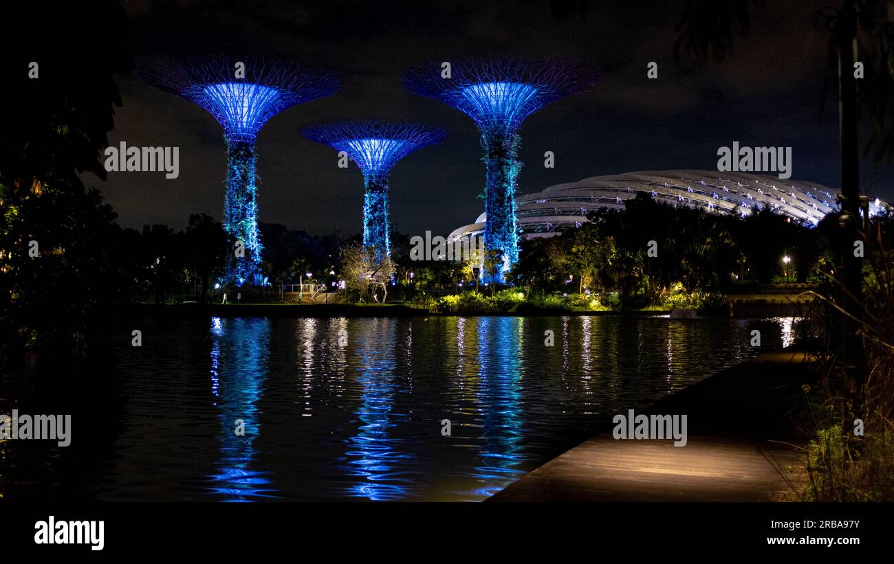 L'iconico bosco di Supertree, composto da tre alberi presso i giardini sulla baia di Singapore, scattato di notte, con un po' di luce artificiale e senza persone Foto Stock