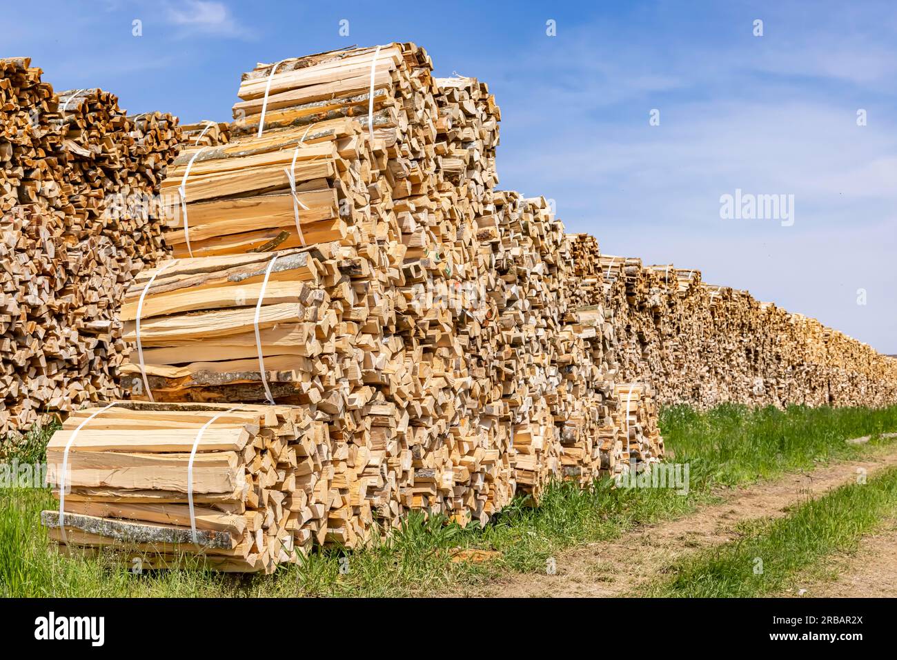 Legna da ardere, deposito per grandi quantità di tronchi, Althheim Alb, Baden-Wuerttemberg, Germania Foto Stock