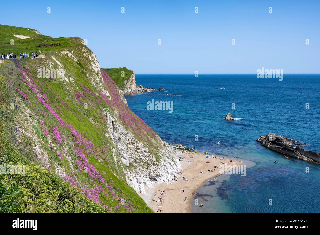 Man o'War Bay sulla Jurassic Coast vicino a Durdledoor, West Lulworth, Dorset, Inghilterra Gran Bretagna Foto Stock