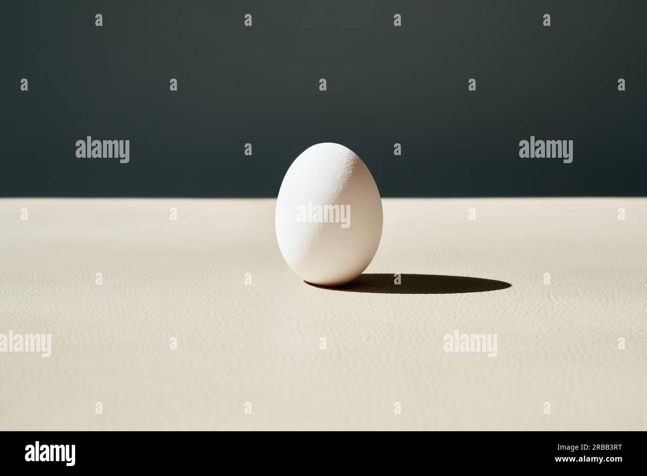 Uovo bianco singolo, concetto di minimalismo. Design creativo Foto Stock