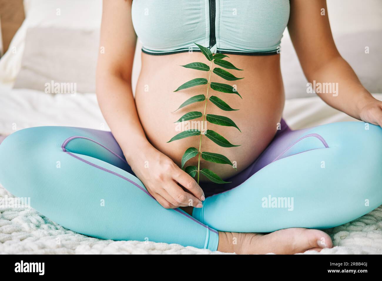 La donna incinta tiene una pianta verde di germoglio vicino alla pancia. Maternità, persone e concetto di aspettativa. Ultimi mesi di gravidanza Foto Stock