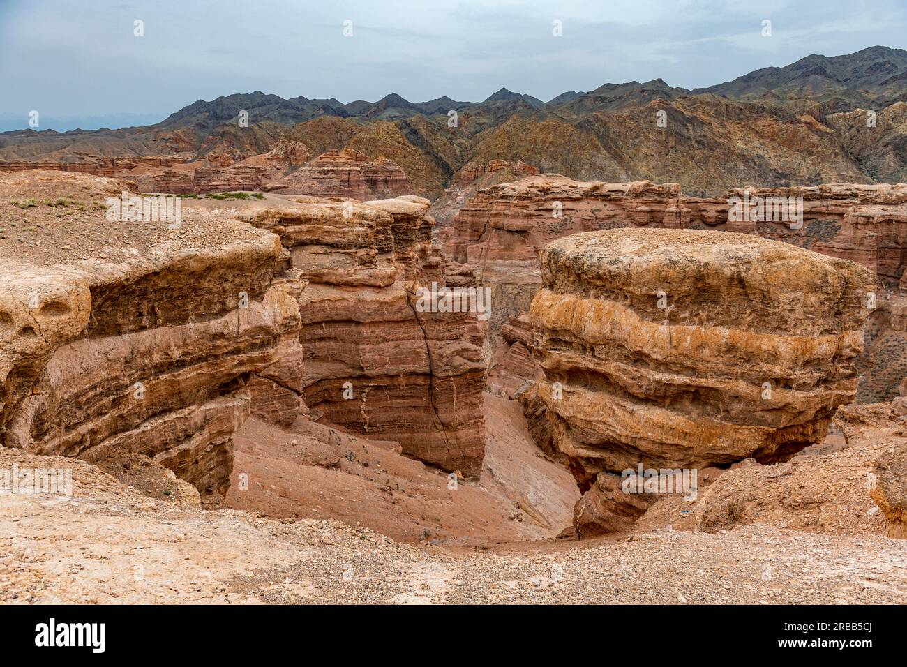 Canyon di arenaria di Charyn, montagne di Tian shan, Kazakistan Foto Stock