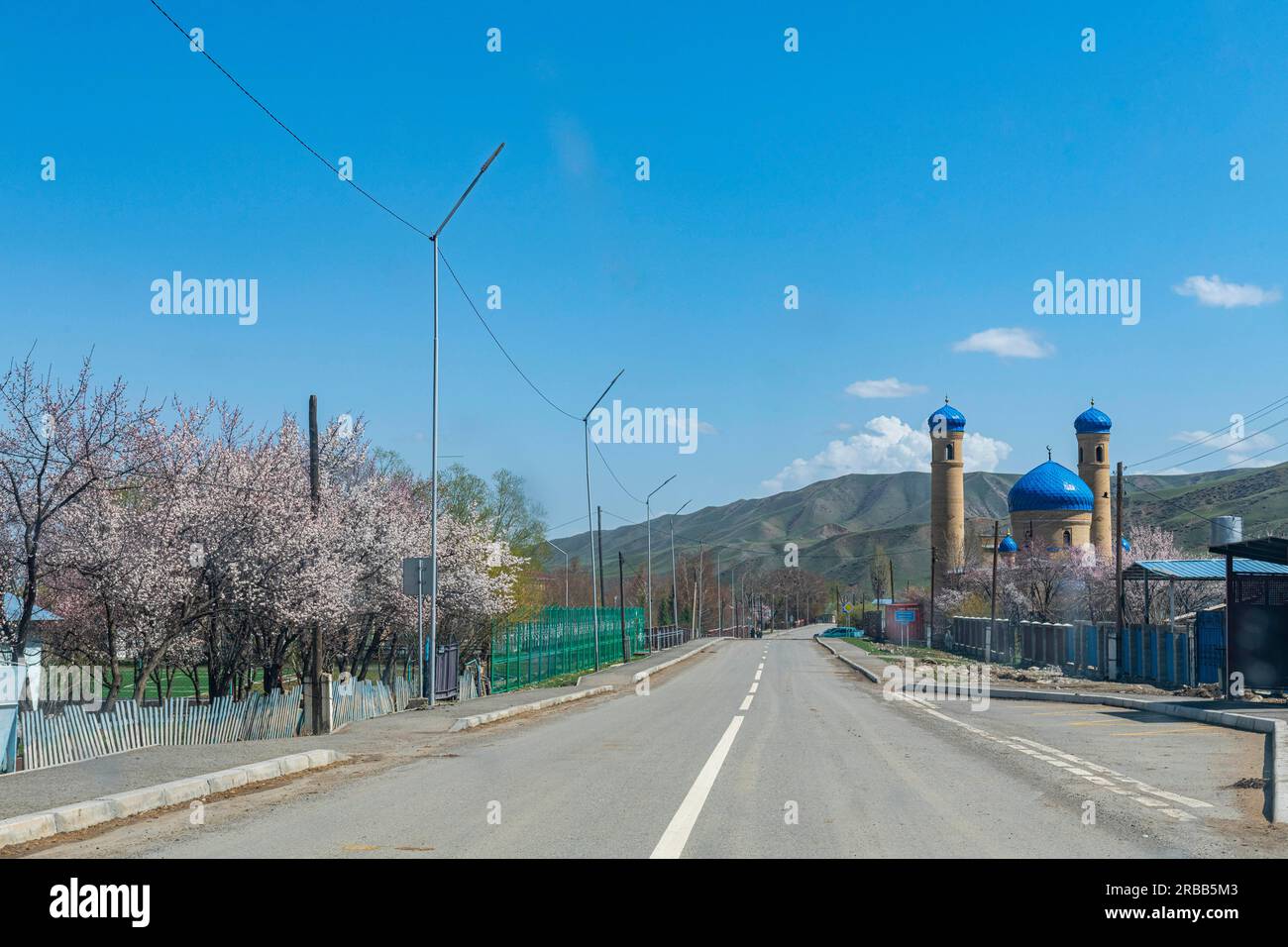 Il villaggio di Saty porta d'ingresso al Parco Nazionale dei Laghi di Kolsay, alle montagne di Tian Shan, Kazakistan Foto Stock