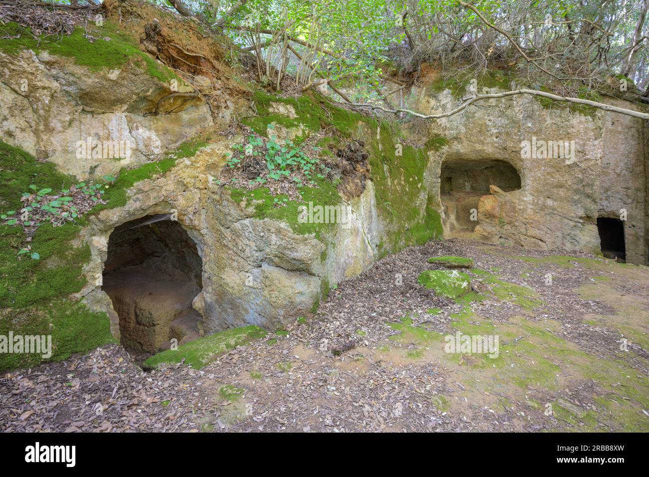 Ingressi alle camere di sepoltura etrusche, Populonia, Piombino, Provincia di Livorno, Italia Foto Stock