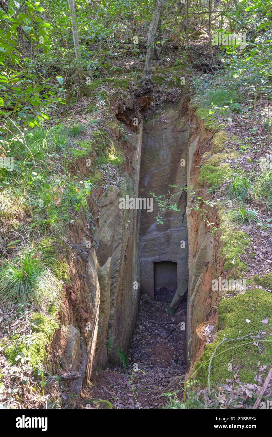 Ingresso alla camera di sepoltura etrusca, Populonia, Piombino, Provincia di Livorno, Italia Foto Stock