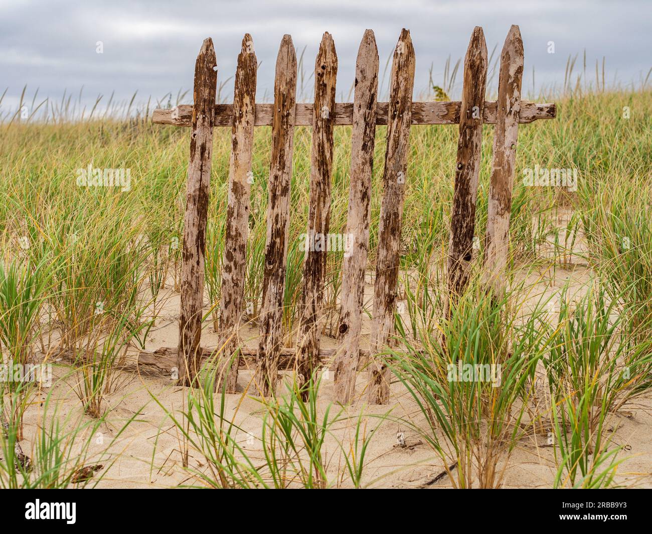 In uno sfondo di dune di sabbia erbose, un frammento di una recinzione di legno invecchiata si erge in modo resiliente. Foto Stock