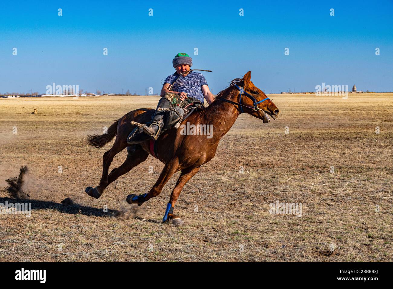 Giocatore di Kokpar sul suo cavallo, Kokpar, gioco nazionale di cavalli, Kazakistan Foto Stock