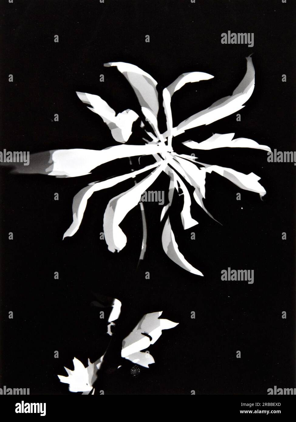 Cambia modello di Laszlo Moholy-Nagy Foto Stock