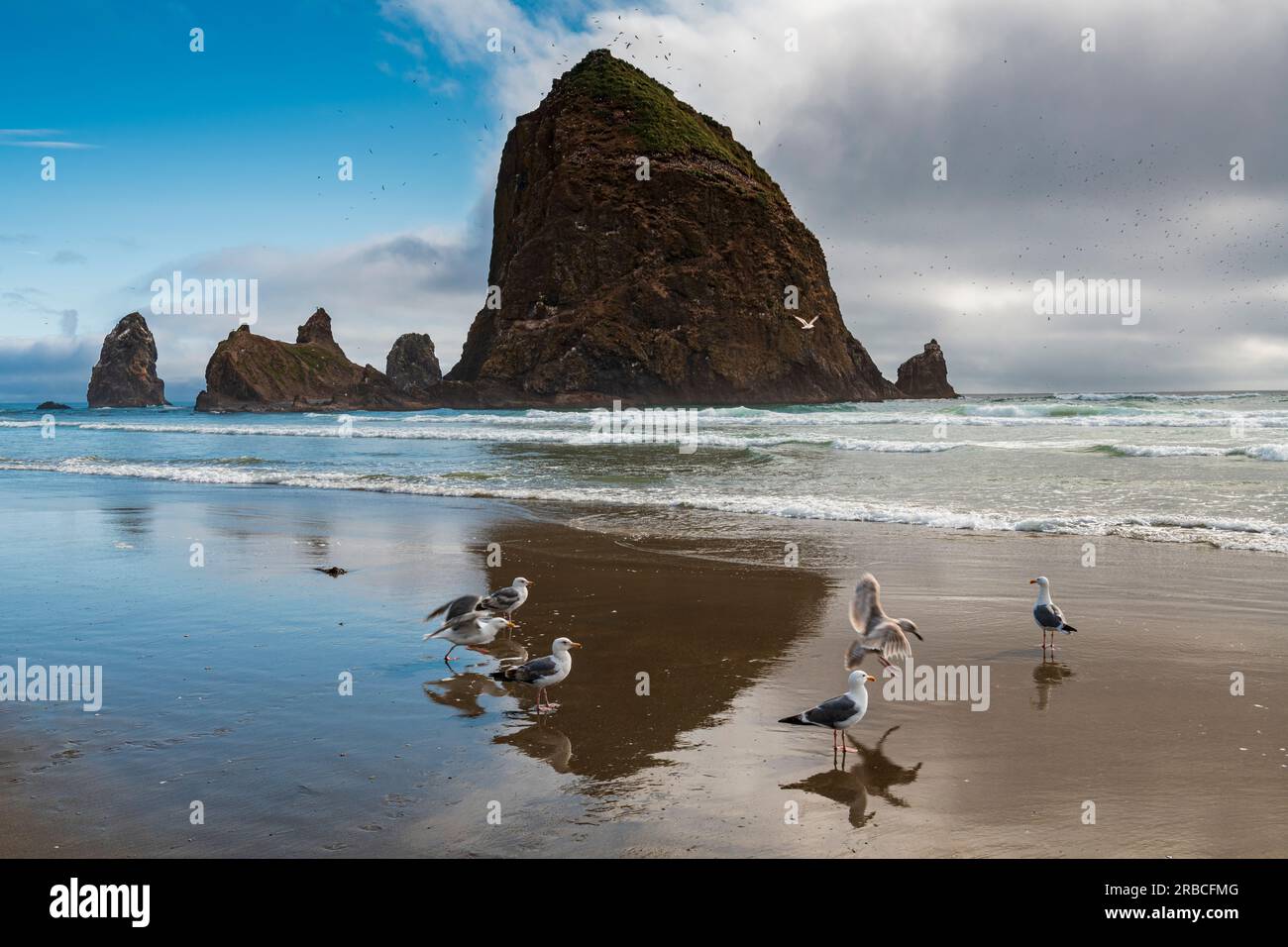 Gabbiani a Cannon Beach e Haystack Rock sullo sfondo Foto Stock
