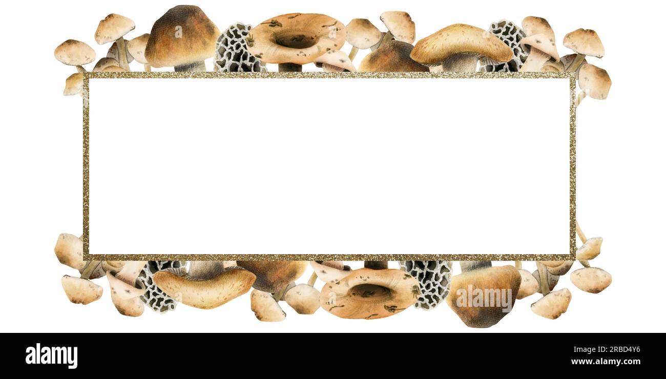 Funghi in bolo commestibili, cornice rettangolare con bordo dorato, illustrazione ad acquerello. Modello di intestazione orizzontale Foto Stock