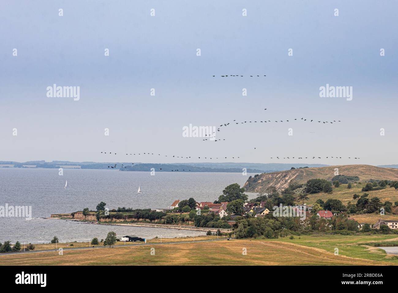 Un gregge di cormorani che volano in lontananza sopra il villaggio di Thiessow. Foto Stock